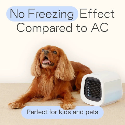 EvaCHILL Portable Air Conditioner For Desk And On The Go Tiny Yet Mighty Personal Evaporative Cooler next to a pet on carpet.