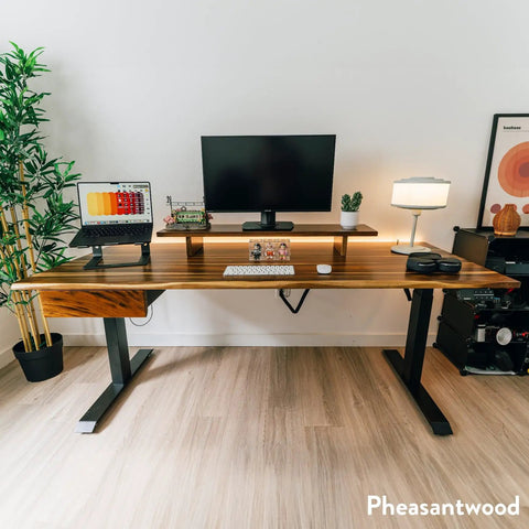 Straight-Up Solid Maple Standing Desk With Slick Electric Lift And Hidden Storage Drawer Matte Black Frame Heavy-Duty Design For Your Ultimate Home Office Setup view with monitor and plants.
