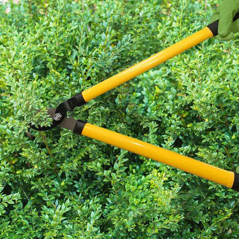 Three Piece Lopper Hedge Shear And Pruner Combo Set used for trimming green bush with yellow ergonomic handles
