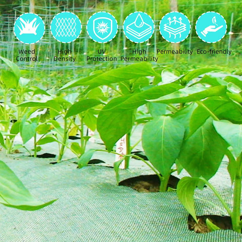 Heavy Duty 6 By 300 Ft Weed Barrier Landscape Fabric Three Point Two Oz used as ground cover for growing plants.