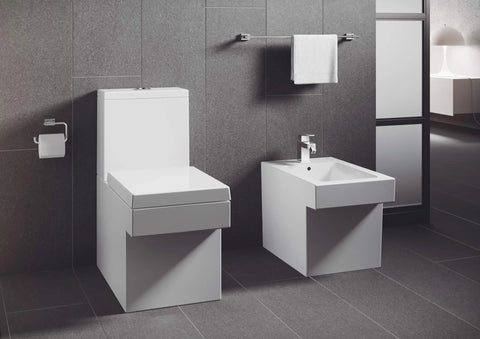 Essentials Cube Toilet Paper Holder in StarLight Chrome sleek metal wall mount next to modern bathroom fixtures, 1 roll capacity.