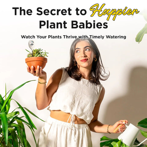 Woman holding a potted plant with Soil Moisture Meter With Hygrometer Sensor For Indoor And Outdoor Plants, Accurate Soil Humidity Readings To Nail Your Watering Schedule, Perfect For Houseplants, Gardens, Lawns, And Potted Plants, No Batteries Required