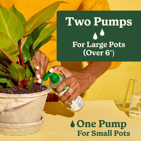 Using Straight Fire Liquid Plant Food For Indoor Houseplants And Potted Greens, a woman waters a potted plant.