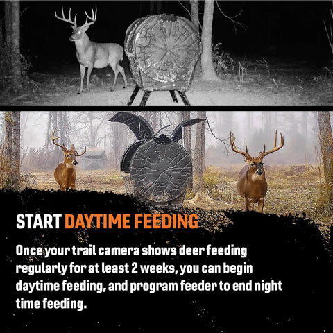 Tectonic Deadfall Daytime Feeder Digital Deer Dispenser American Made with deer near feeder in forest setting.
