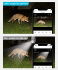 Comparison of starlight and spotlight night vision with fox captured by 4MP Bulb Security Camera Wireless 360 Degree Panoramic 2K HD