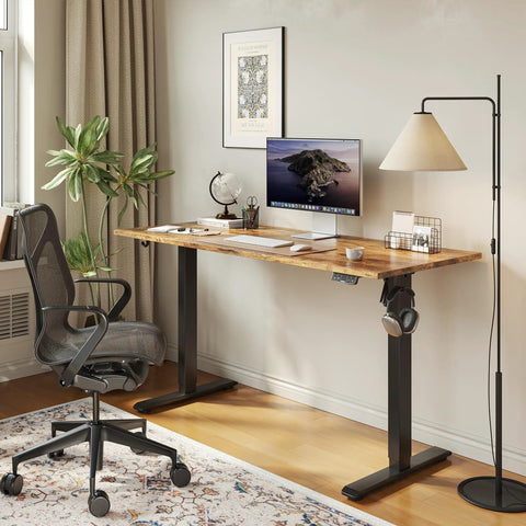 Electric Standing Desk 48 By 24 Inch with Quiet Lift Memory Presets Sit Stand Ergonomic Desk for Home Office, rustic brown