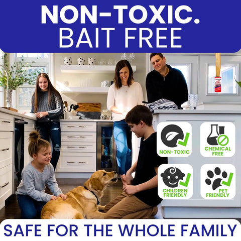 Heavy Duty Indoor Fly Strips With Stainless Hanging Hooks, Odor Free Sticky Bug Tape For Fruit Gnats And Houseflies, Nontoxic Pest Control Ribbon That Snags Hard, family in kitchen with pet.