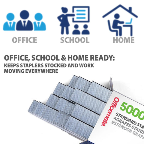 No Hassle Chisel Point Staples With One Quarter Inch Legs Serve As Workhorse Fasteners In Five Huge Boxes For Twenty Five Thousand Total Units Perfect For Schools And Offices To Clamp Papers Solidly Today in an office setting.