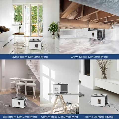 Heavy Duty Crawl Space Dehumidifier With Built In Pump For Basement Moisture Control, used in living room and crawl space.