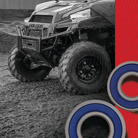 Premium High Performance Wheel Bearing Kit For Suzuki Lt Z400 And Lt 250r Atv 1985 Through 2014 with blue seals.