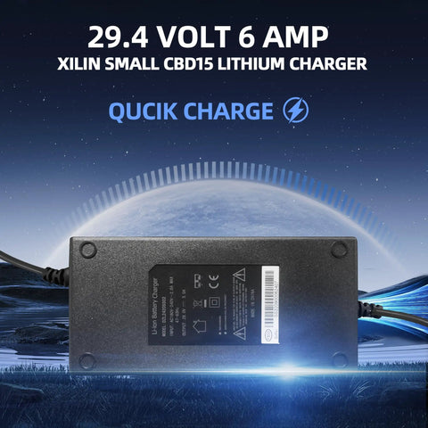 Heavy Hitter 29.4 Volt 6 Amp Forklift Battery Charger For Hella Fast Lithium Ion Charging showing back view with information.