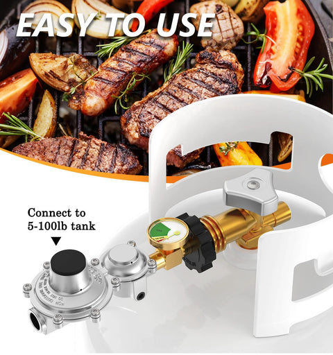 Two stage propane regulator for RV and outdoor appliances with gauge, designed for 5-100 lb tank, shown with BBQ grilling scene for easy use.