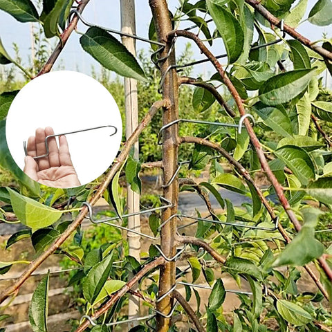 Fruit Tree Limb Spreader Kit 20 Pieces Open Angle Branch Separators For Easy Branch Spacing And Training Durable Iron Tool Set