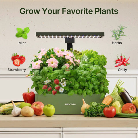 All In One 160 Piece Hydroponic Pods And Accessories Kit For Home Growers Including 60 Grow Sponges, plants, and light.