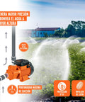 Illustration of Electric Peripheral Water Pump Three Quarter HP For High Lift Moves Water Up To 65 M with irrigation setup.