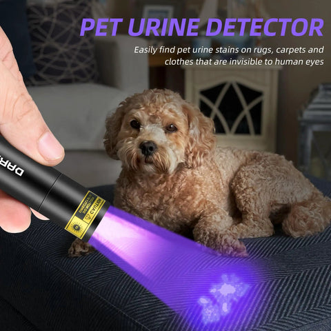 Powerful Dual UV Flashlight 365nm 395nm Mini Wood Lamp USB C Rechargeable Ultraviolet Blacklight in use detecting pet urine