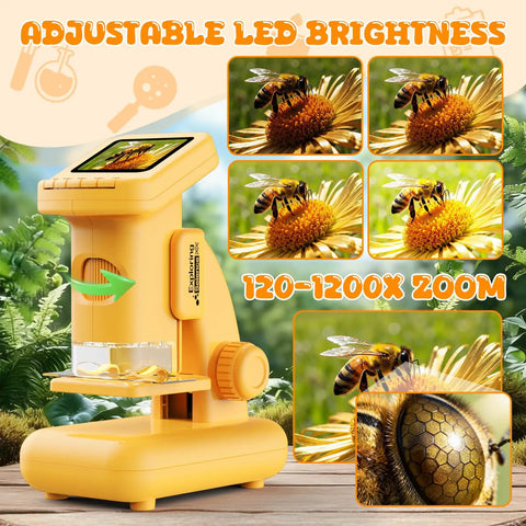 2-In-1 Kids Digital Microscope for Outdoors and Home, Switch Between Handheld and Desktop, HD Screen Video Capture, 9-Slide Science Kit, Portable STEM Toy Gift for Ages 6-12 Boys and Girls, Learn Like a Boss Scientist, yellow desktop microscope with bee closeups