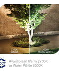 Tree illuminated by Wall Wash LED Landscape Light 12V With Built In Dimming 3000K Warm White Solid Brass Bronze Coated Housing