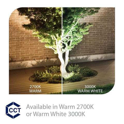 Tree illuminated by Wall Wash LED Landscape Light 12V With Built In Dimming 3000K Warm White Solid Brass Bronze Coated Housing