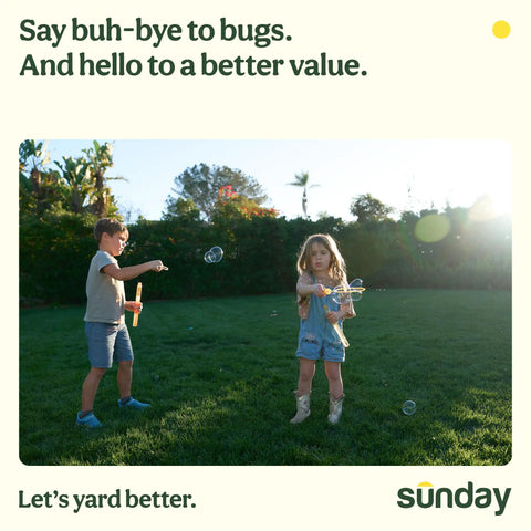 Children playing in a backyard during sunset with bubble wands, lush green grass, and a scenic view of trees and sky.