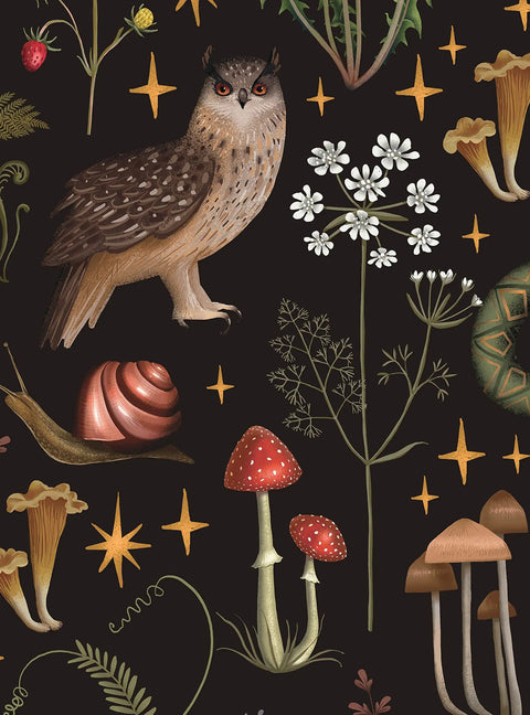 Enchanted Forest Mood Peel And Stick Wallpaper with owl, mushrooms, and stars pattern for dark background decor, vinyl, 24x48 or 24x108 inches.