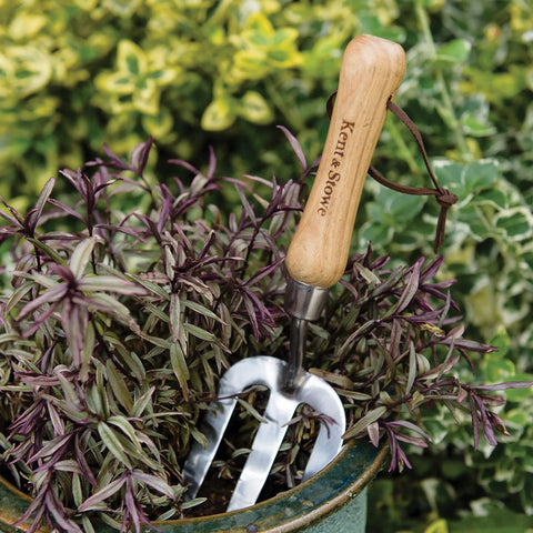 All Day Handy Garden Hand Fork With Ash Handle And Stainless Prongs For Quick Soil Prep in potted plant