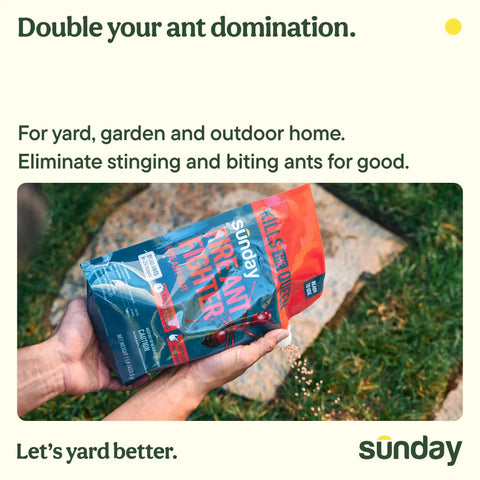 Hand holding Fast Fire Ant And Harvester Ant Killer Granules, Bio Based Ant Bait, outdoor yard and garden use, 2 pack 2 x 1 lb.