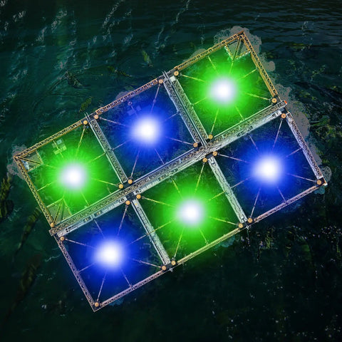 2 Pack Underwater Fishing Light Kit 12V 15W Submersible LED Lure Lamp with 16.4ft cord glowing blue and green underwater