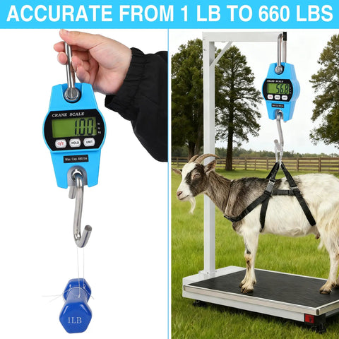 Heavy Duty Digital Crane Scale 660 Lb Handheld Hanging Weight Scale With Crisp Backlit Lcd Display weighing a goat outdoors.