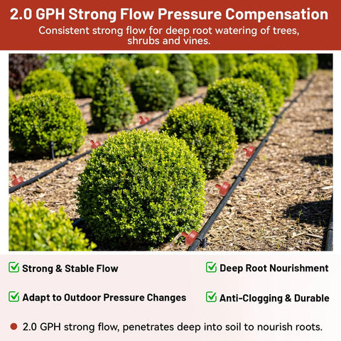 Heavy Duty 2 GPH Pressure Compensating Drip Irrigation Spot Drippers watering shrubs in garden