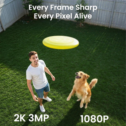 Comparison of 2K 3MP and 1080P video quality with a man and a dog in a yard catching a frisbee, showcasing image clarity differences.