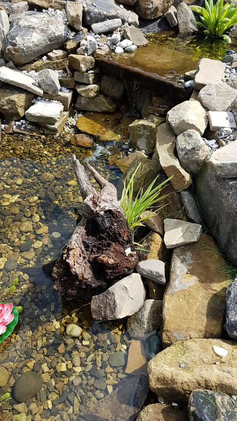 Natural pond setting with rocks, water plants, and flowing water, showcasing an ideal environment for using the 5 Inch Round Water Garden Plant Basket Set 3 Pack For Pond Plants.