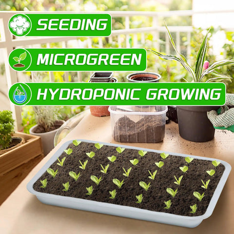 Six Pack Stainless Steel Seed Starter Trays for Germination Seedlings and Water Collection with Sprouts Indoors