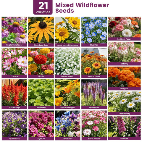 Massive Wildflower Seed Bulk Pack With 10,000 Seeds, 21 Varieties Perennial And Annual Heirloom Mix For Outdoor Or Indoor Gardens, Attracts Butterflies And Hummingbirds, Rainbow Bloom In Every Bed, High Germination Rate, Easy Planting