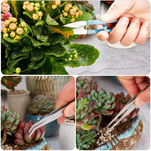 Hands using Dope Succulent Tools 19 Piece Mini Garden Tool Set with tweezers and scissors for plant care and transplanting