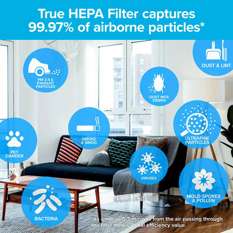 Infographic showing Premium True HEPA Room Air Purifier Filter capturing allergens and bacteria in a living room setting.