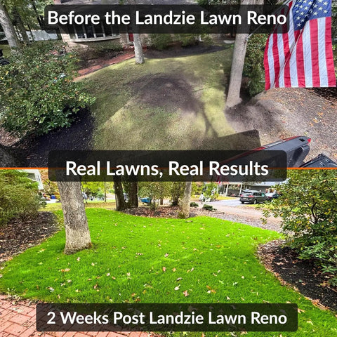 Before and after comparison of a lawn renovation, showing grass improvement from sparse to lush green after 2 weeks.