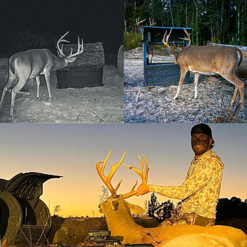 Tectonic Deadfall Daytime Feeder Digital Deer Dispenser American Made 350 Pound Capacity with deer feeding nearby.