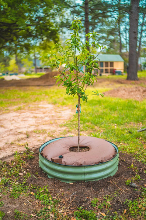 16 Gallon Tree Watering Bag Ring Heavy Duty PVC Plant Watering System For Trees And Shrubs With Slow Release Root Hydration on tree base