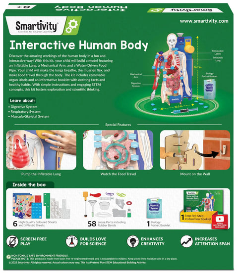 Totally Hands On Anatomy Kit For Kids Aged Eight To Fourteen Buildable Human Body Model packaging and contents display