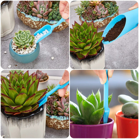 Dope Succulent Tools 19 Piece Mini Garden Tool Set for transplanting succulents using blue stainless steel scoop and tools