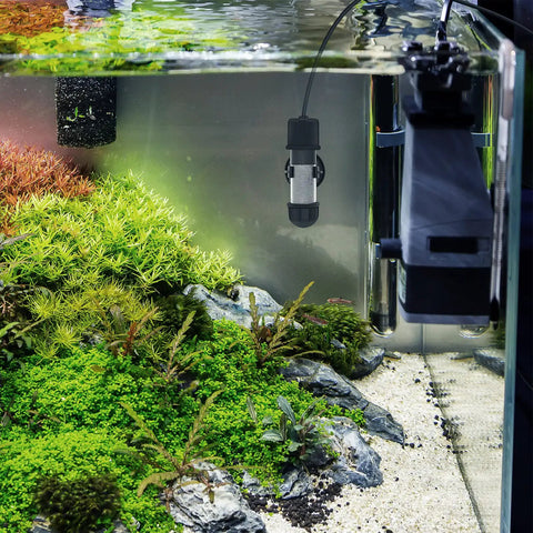 Go-To Betta And Small Fish Tank Heater With Bright Led Digital Screen And Easy Turn Knob For Compact Freshwater Or Marine Bowls Up To Five Gallons submerged in an aquarium with aquatic plants.