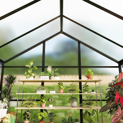 6x10 Ft Outdoor Greenhouse With Polycarbonate Panels Roof Vent Ground Nails Lockable Walk In Door Aluminum Frame Black Backyard Garden House For Patio Lawn And Garden Weather Resistant And Easy Access