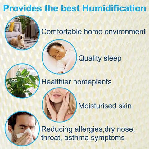 Graphic showing benefits of 2 Pack Humidifier Water Filter Replacement For Bryant Carrier P110 4545 on home environment, sleep, plants, skin, allergies.