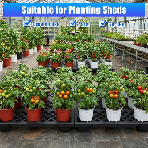 Plants on Eight Pack Plastic Pallets For Storage With Ventilated Raised Grid Surface in greenhouse