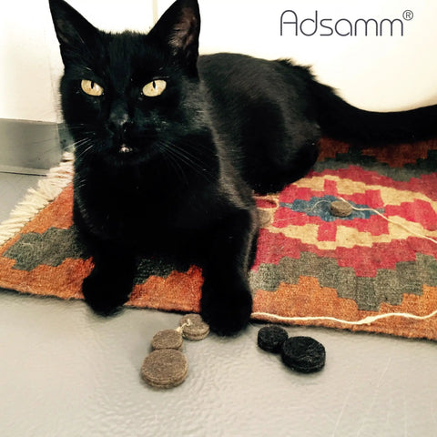 Black cat on colorful rug with felt pads.