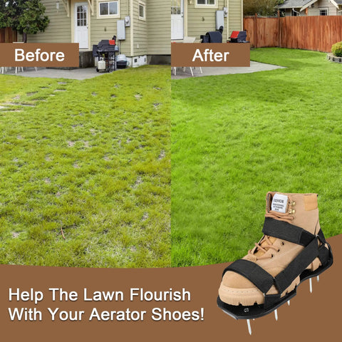 Before and after lawn with Pre Assembled Lawn Aerator Shoes With 26 Heavy Duty 2.4 Inch Spikes And Stainless Steel Base Plate