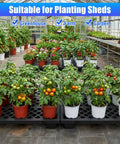Heavy Duty Plastic Pallets 8 Piece Set With Ventilated Grid Design in greenhouse with tomato plants