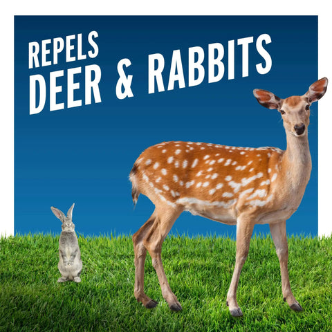 Deer and rabbit on grass with text 'Repels Deer & Rabbits', highlighting Deer And Rabbit Repellent Concentrate 40 Ounces Year Round Garden Spray For Plants Flowers Shrubs And Trees Long Lasting Rain Resistant Keeps Pests Off Your Yard.