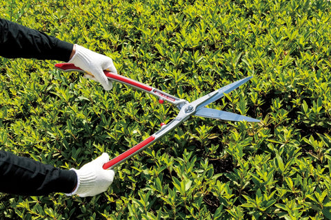 Pro Grade Hedge Shears With Ultra Sharp Steel Blades in use for trimming green hedges